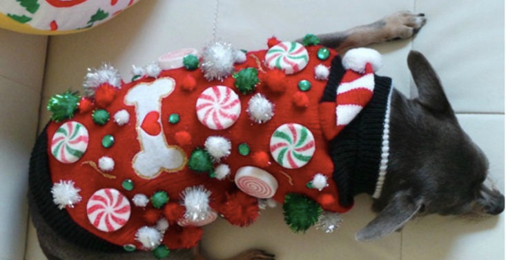 Ugly Christmas Dog Sweater | Christmas Dog Sweater | Dog Sweater